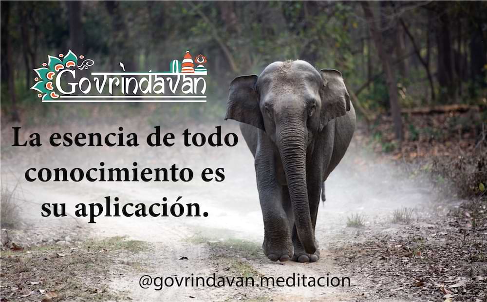 GoVrindavan-La Esencia de todo conocimiento es su aplicación. Agenda tu sesión VedicThetaHealing.jpeg